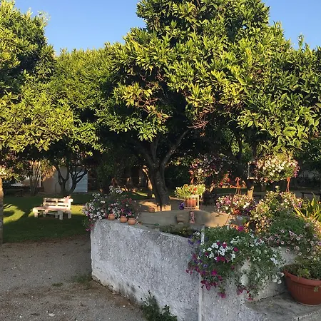 La Purissima Alghero