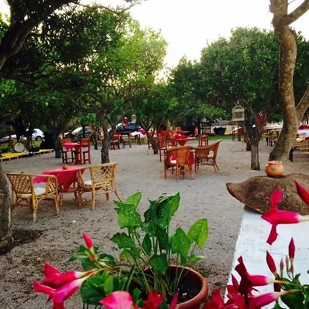 La Purissima Bed and Breakfast Αλγκέρο